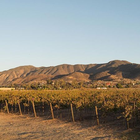 Bed and Breakfast Casa Entrevez Valle de Guadalupe Zewnętrze zdjęcie