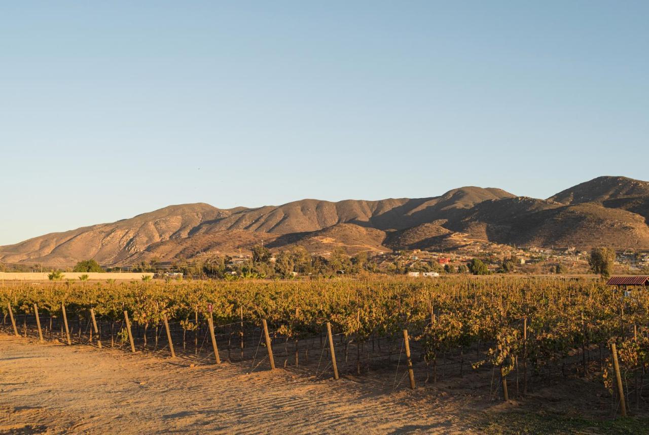 Bed and Breakfast Casa Entrevez Valle de Guadalupe Zewnętrze zdjęcie